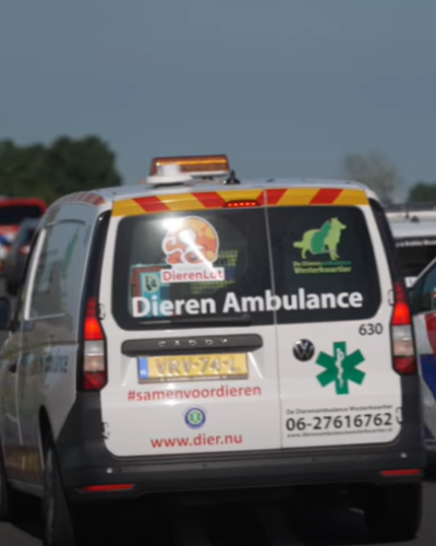 Dodelijk ongeluk N355 Grijpskerk: drie slachtoffers en hond spoorloos