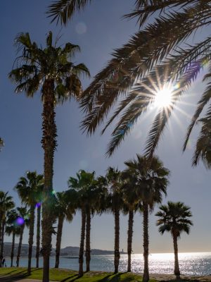 Zuid-Spanje opgeschrikt door aardbeving met kracht van 5.4: schade op luchthaven