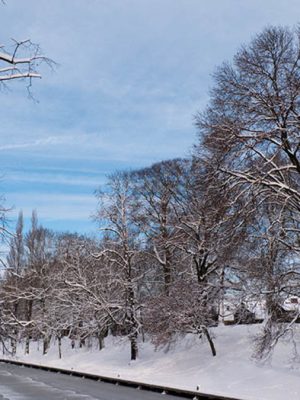 Winter slaat opnieuw toe: KNMI waarschuwt voor sneeuw, gladheid en smog